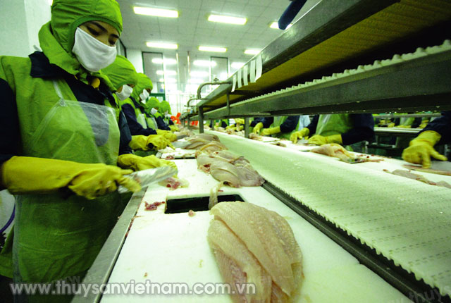 Xuất khẩu thủy sản Việt Nam gặp rào cản ở nhiều thị trường   Ảnh: LHV
